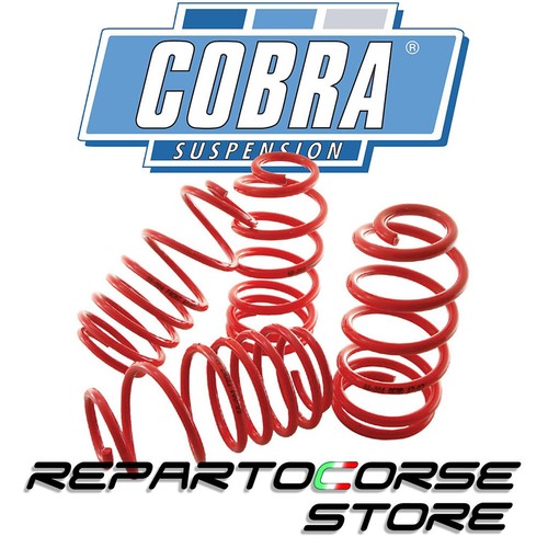 Molle cobra volkswagen golf - molle, vi